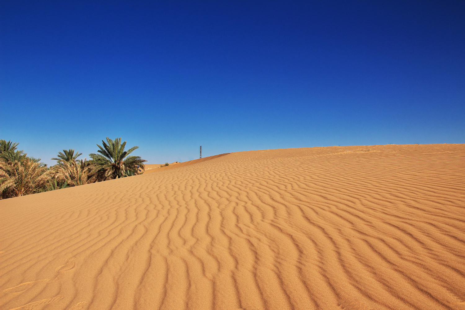 Sahara desert