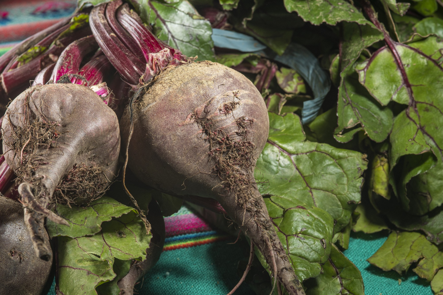 root vegetables
