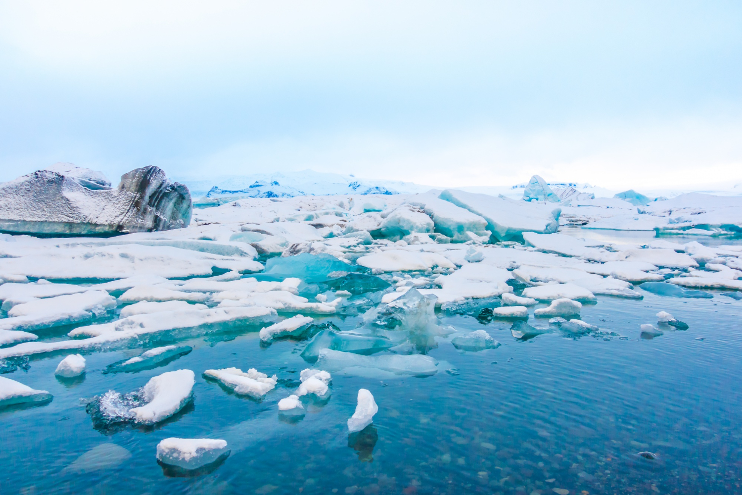 Antarctic