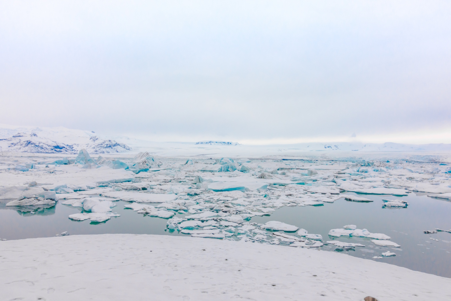 Antarctic