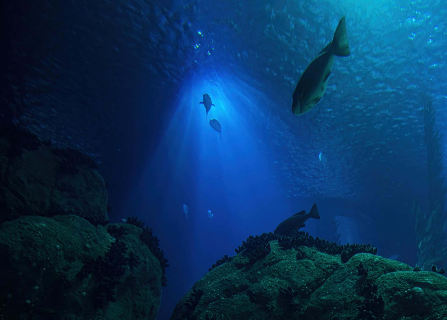 deep ocean water blue