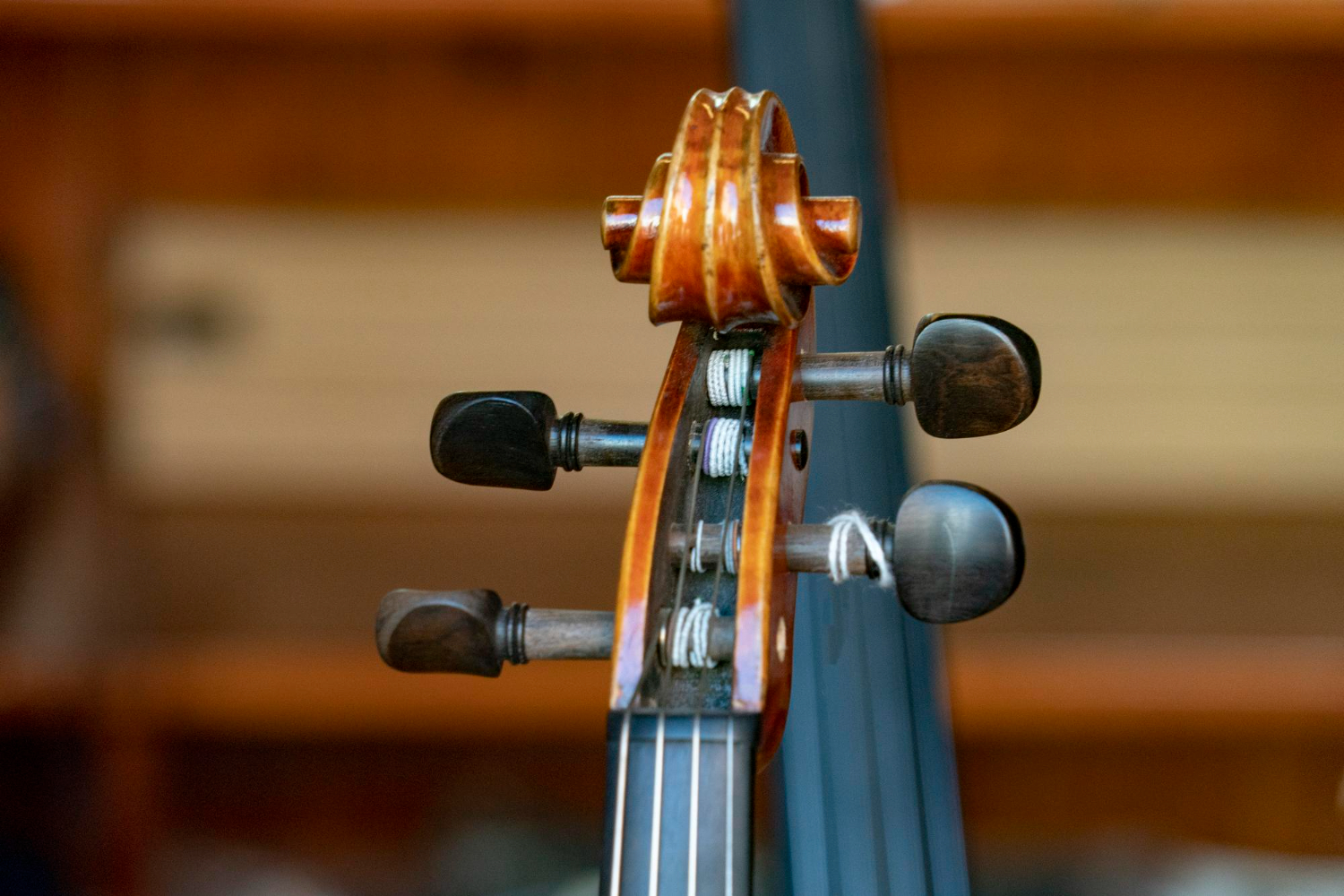 violin
