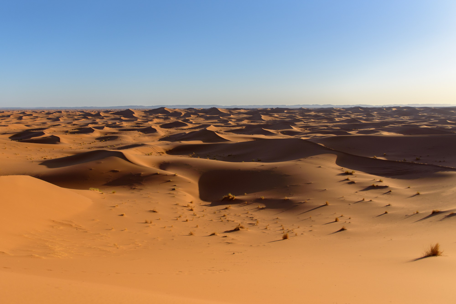Sahara desert
