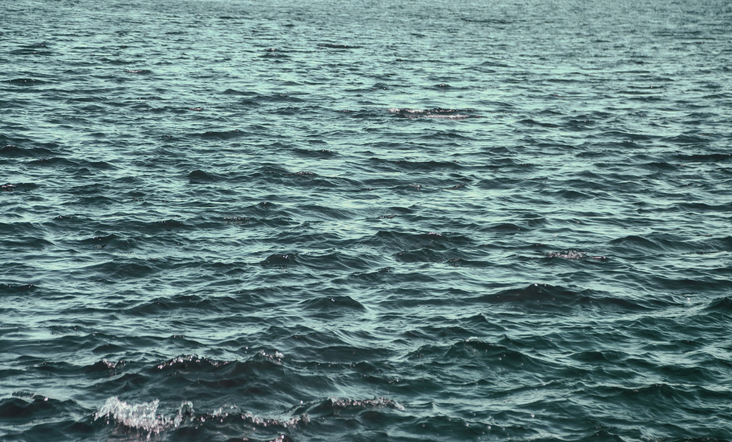 ocean surface water
