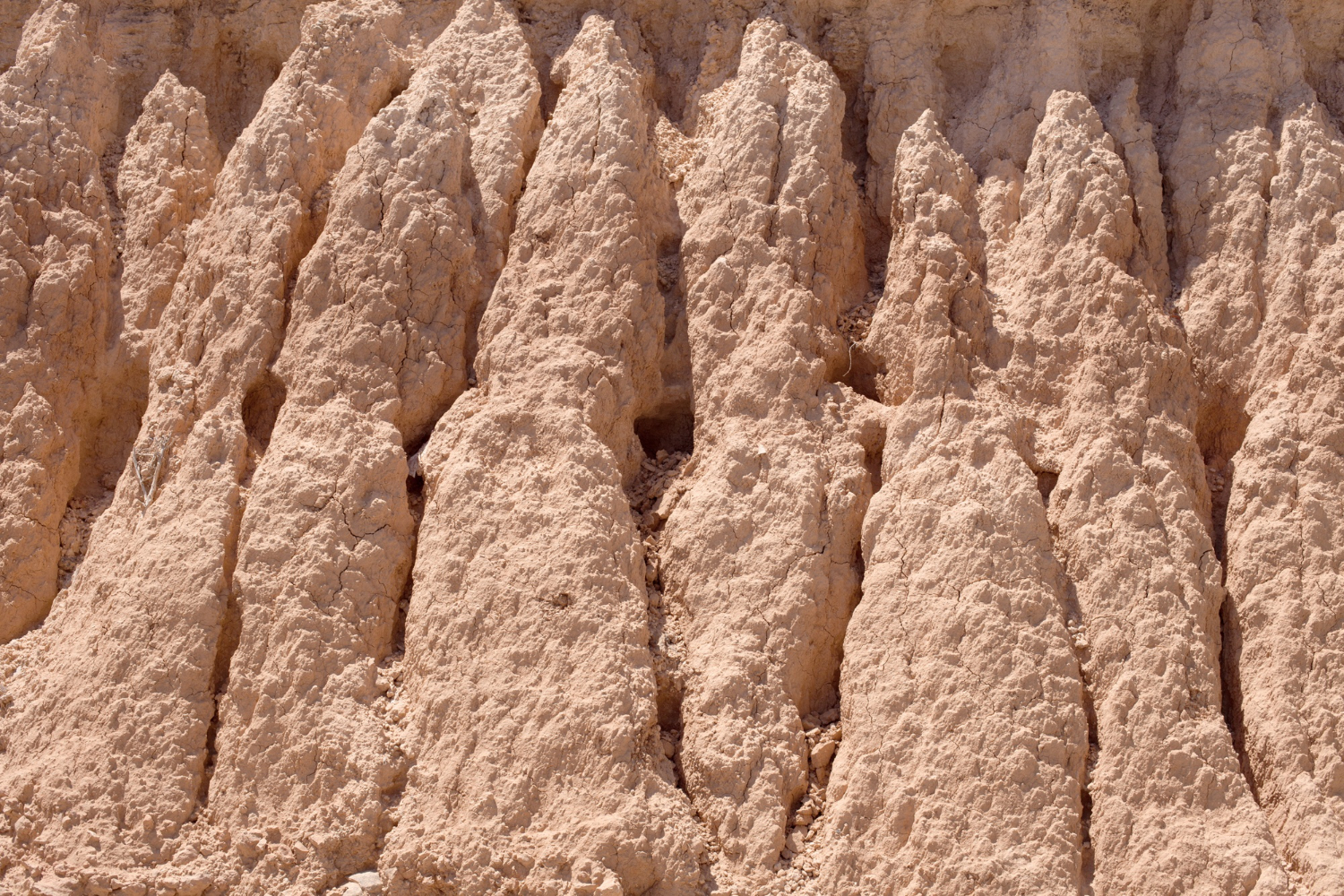 fossil