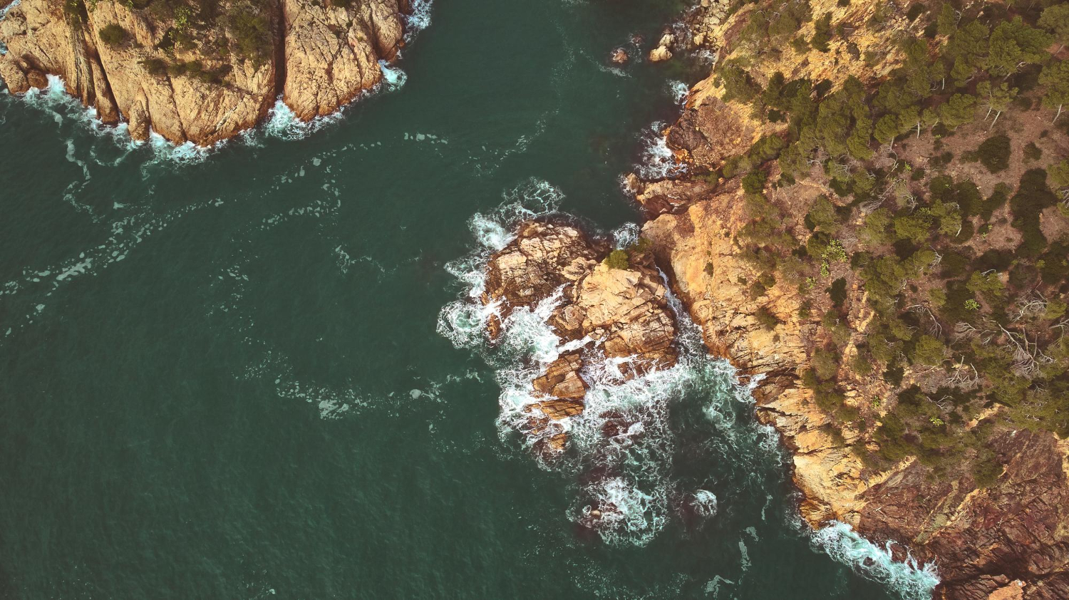 Rocky coastline
