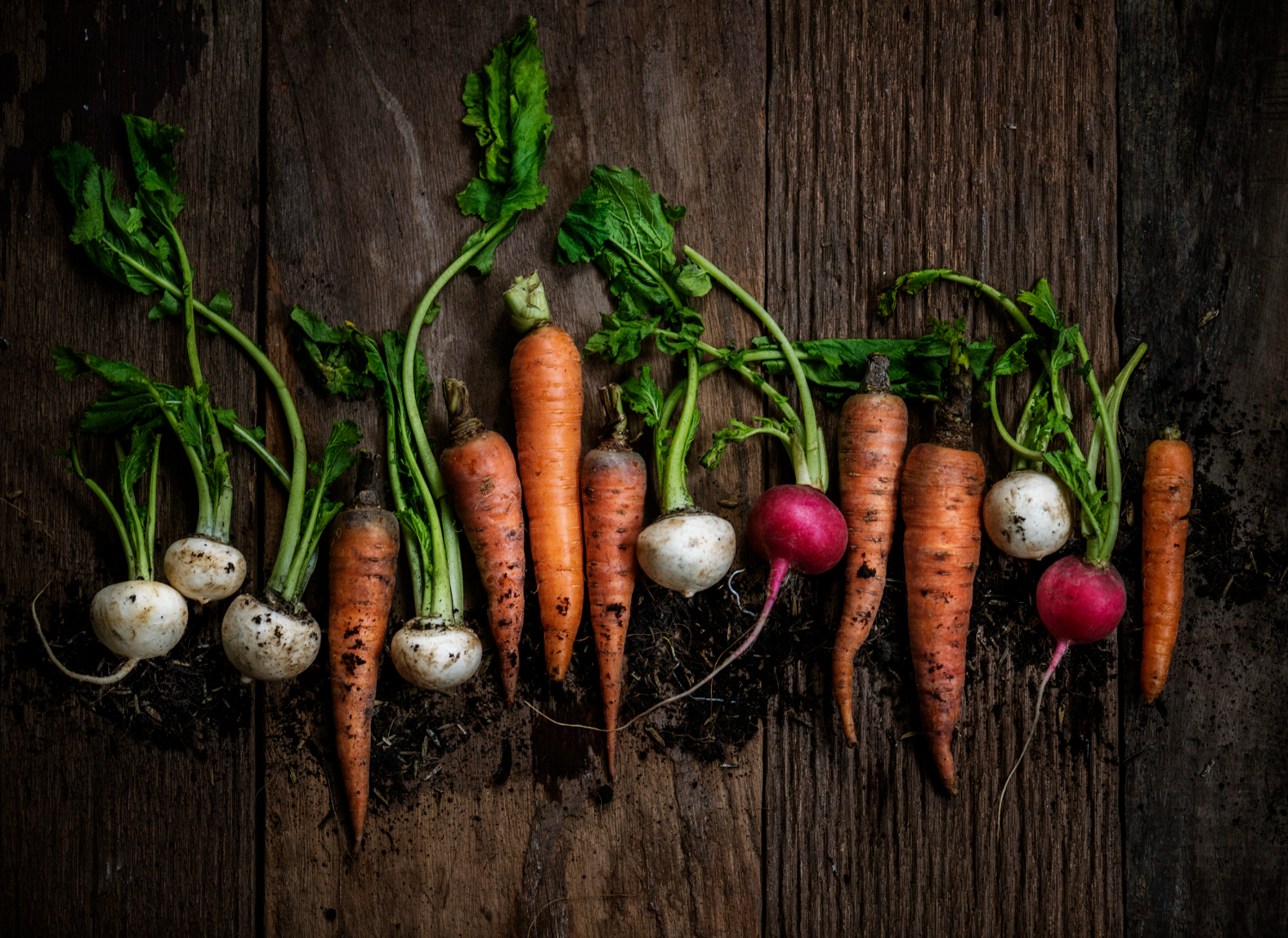 root vegetables