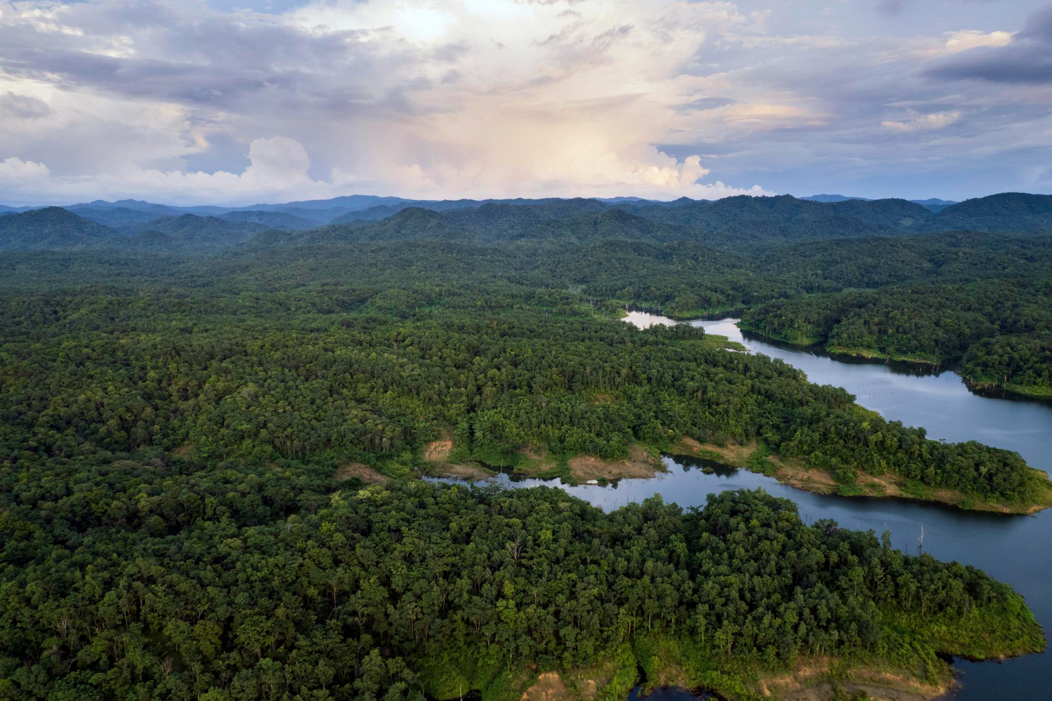 Amazon River aerial rainforest