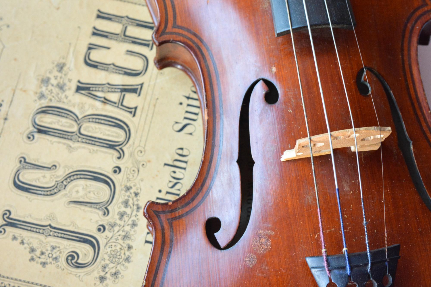 violin