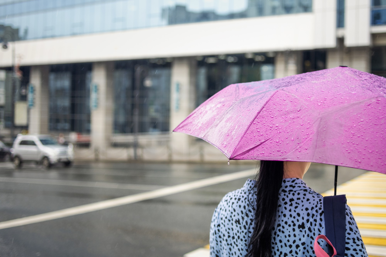 rainy street city umbrella