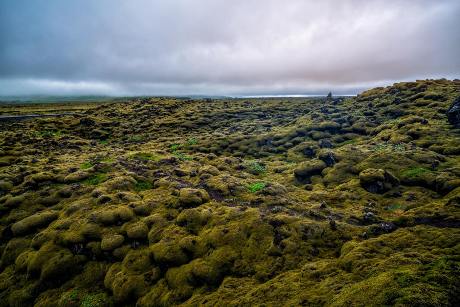 Iceland landscape moss volcanic