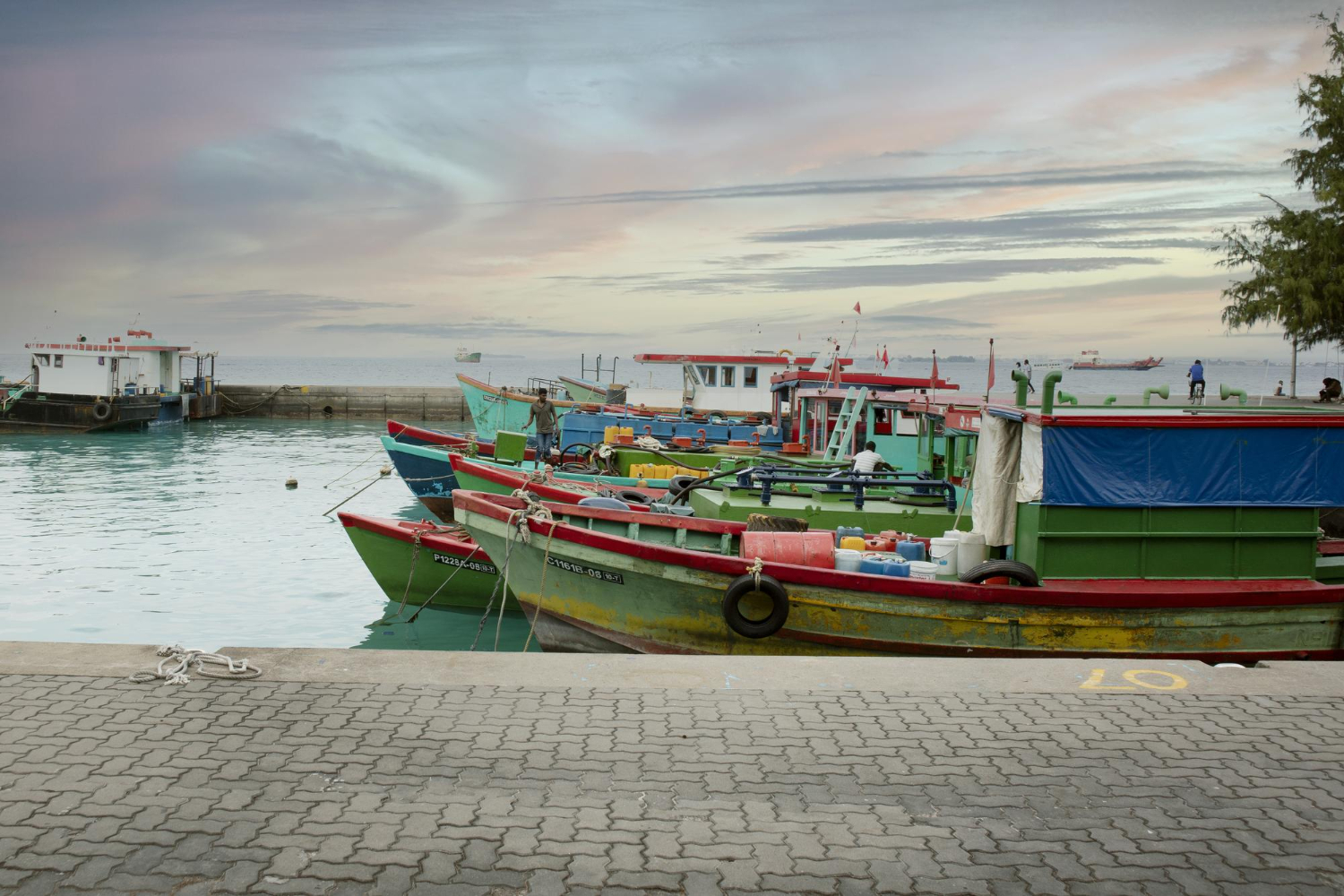fishing harbour boats