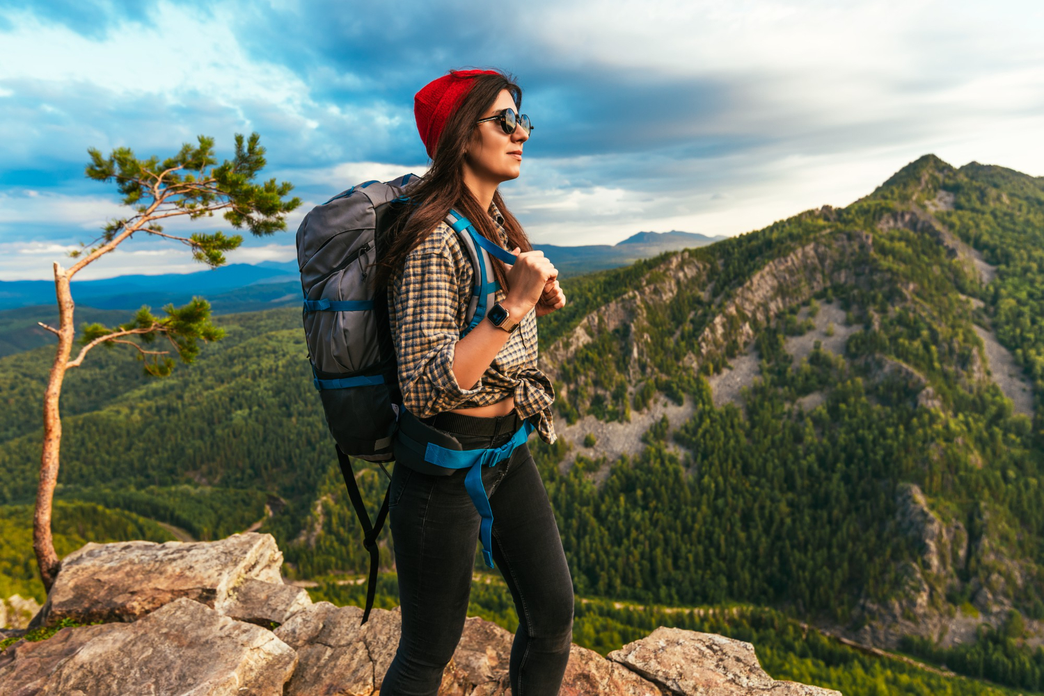 Traveler