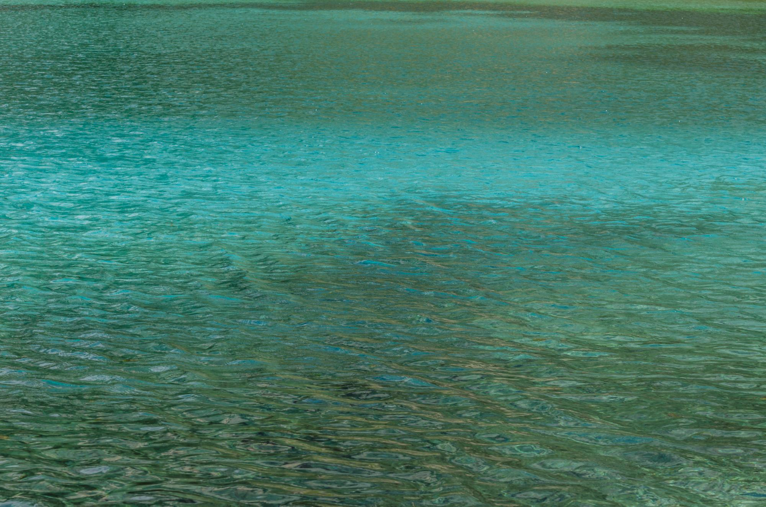 bioluminescent water