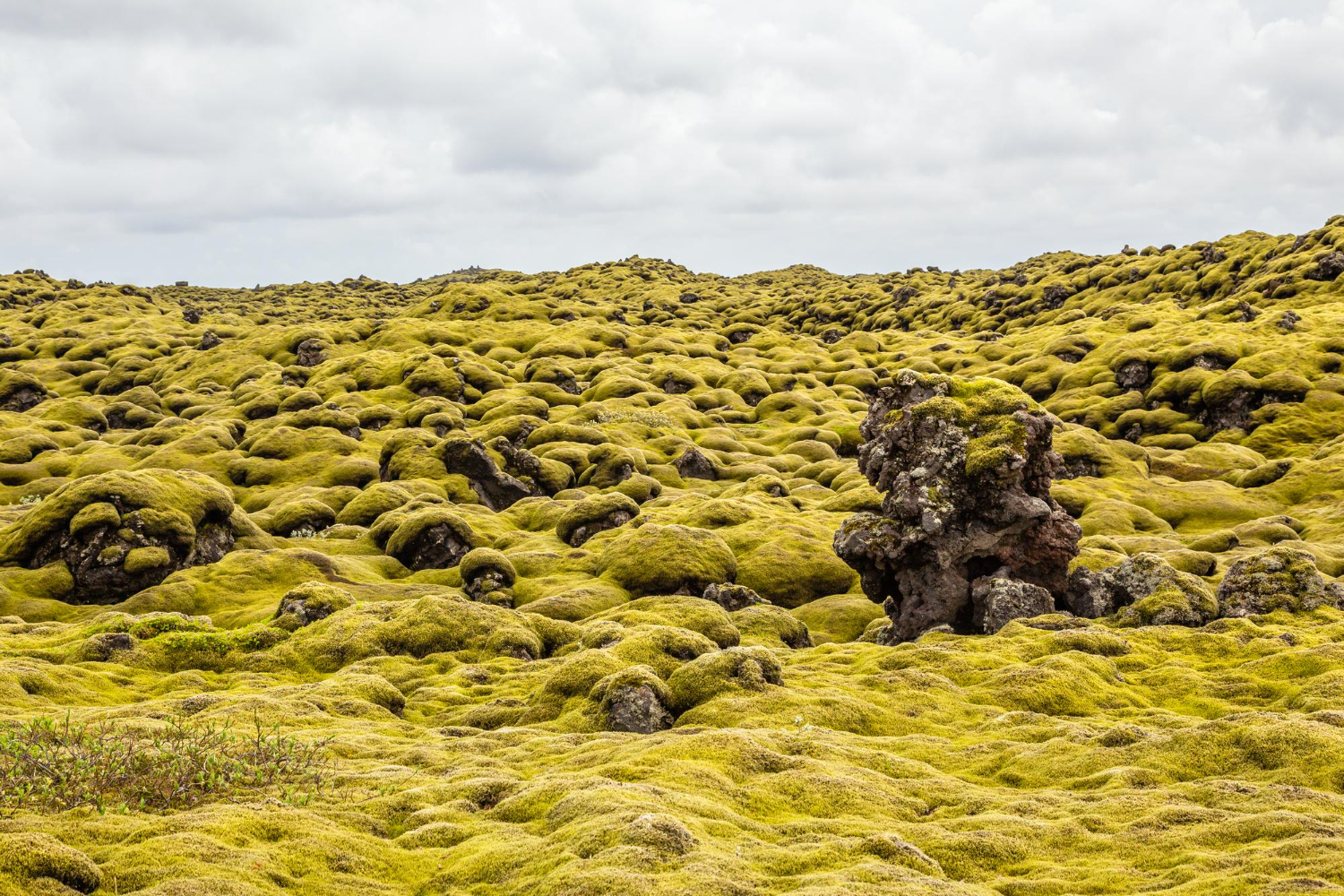 Iceland landscape moss volcanic