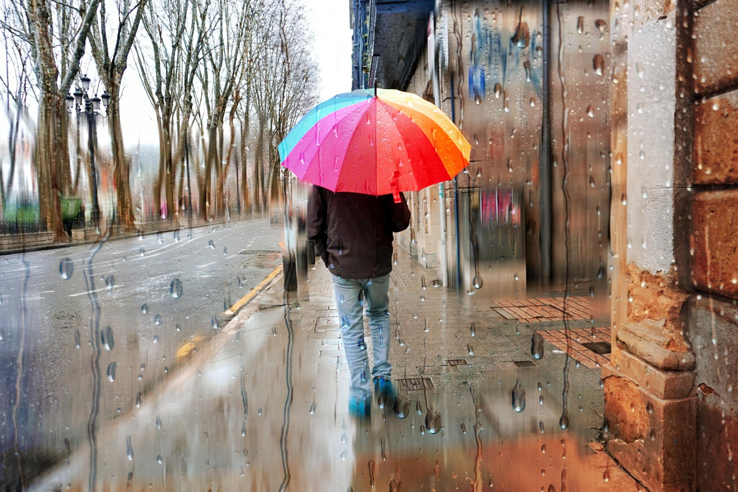 rainy street city umbrella