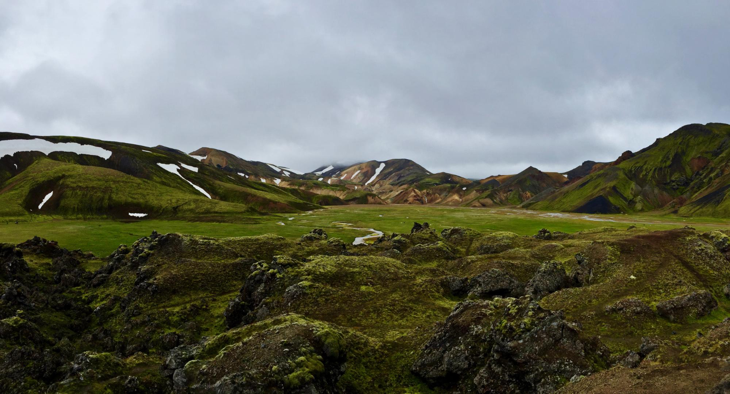 Iceland landscape moss volcanic