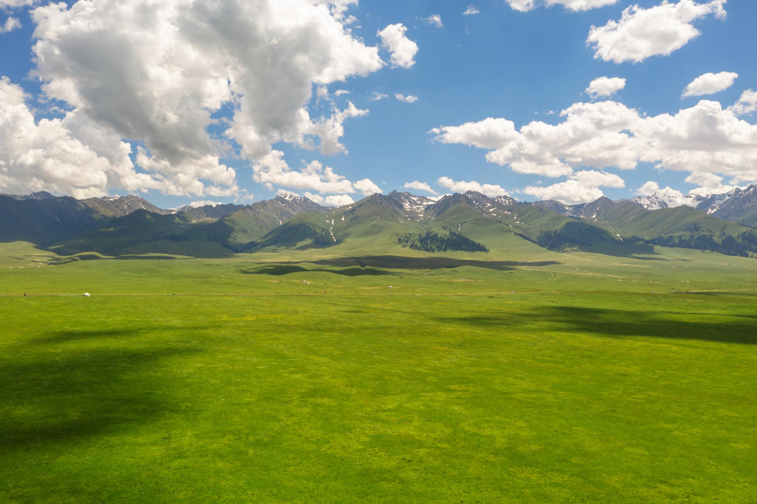 grassland
