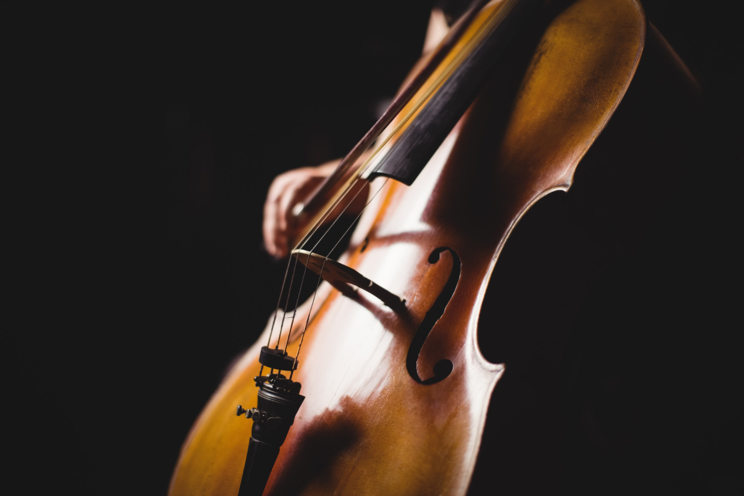 Musical Instruments