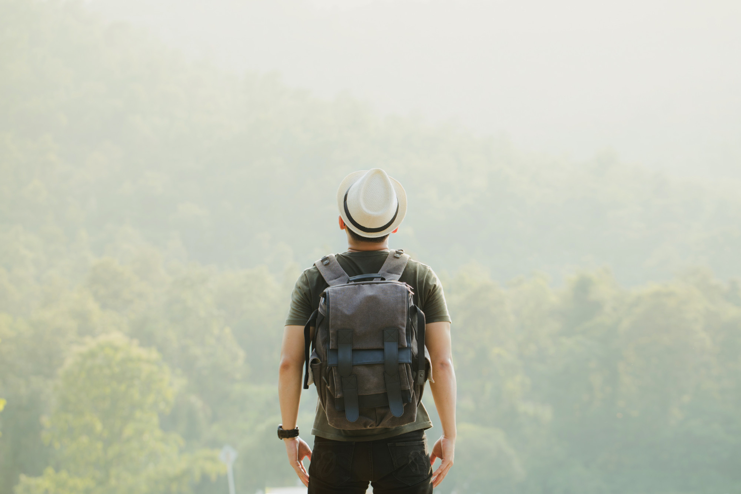 Traveler
