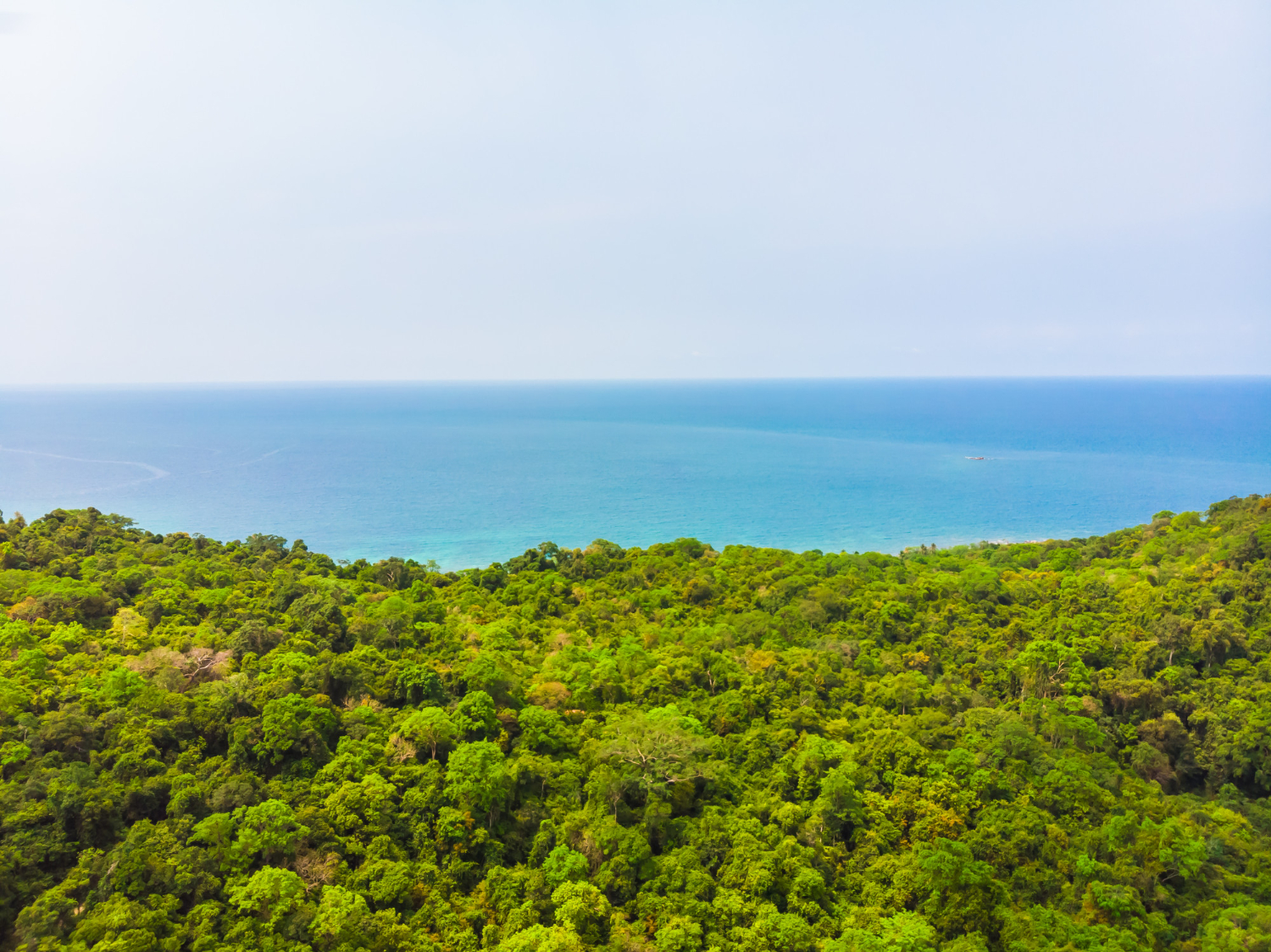 island