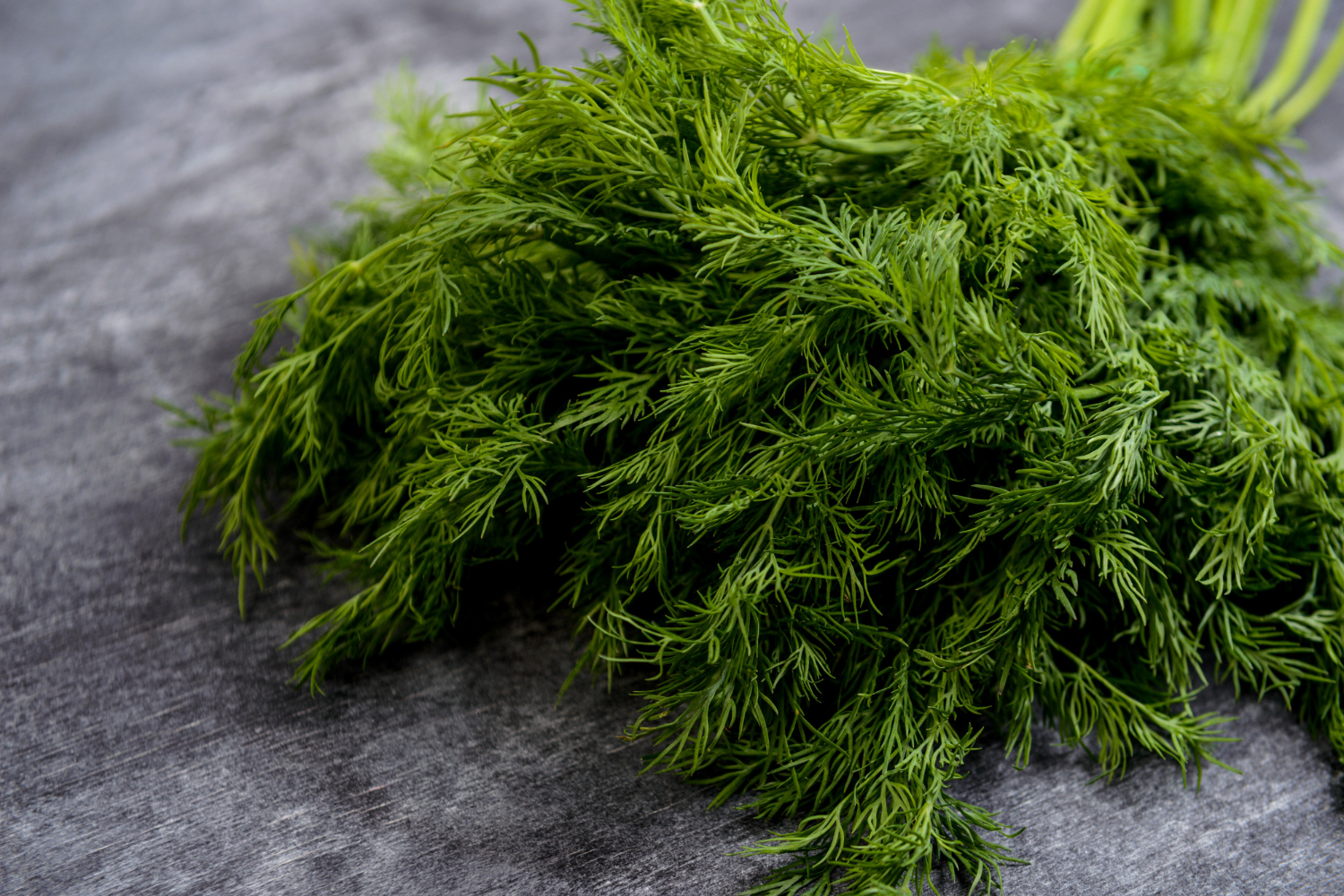 12 Common Herbs and What They Are Actually Good For
