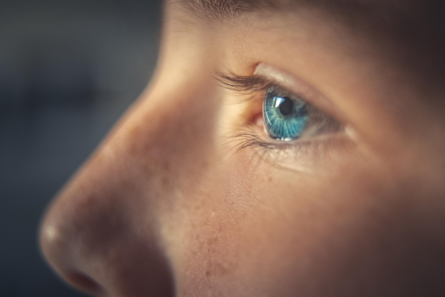Human eye iris close up