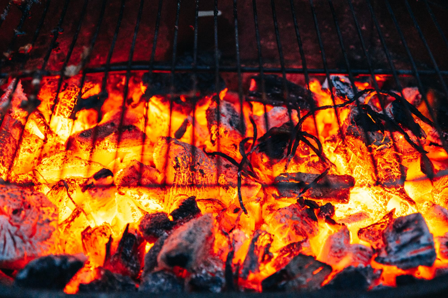 16 Things That Explain Why Cooking Over Coals Works