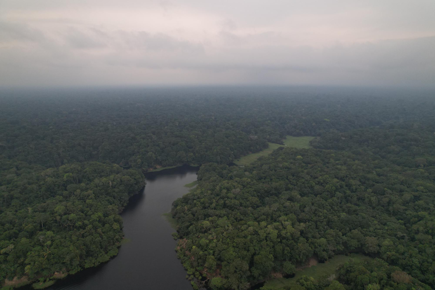 Amazon River aerial rainforest