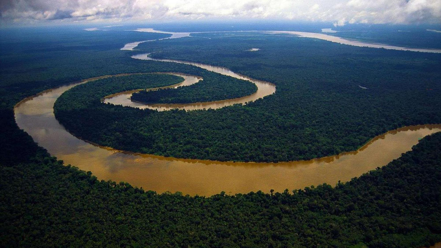 Amazon rainforest