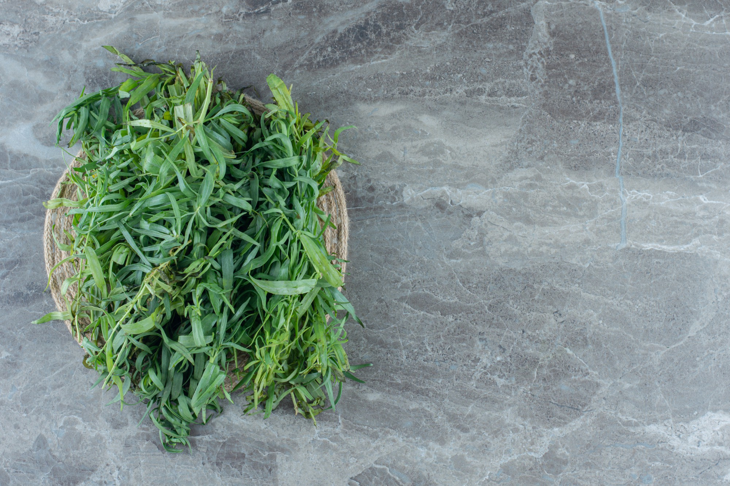 Tarragon