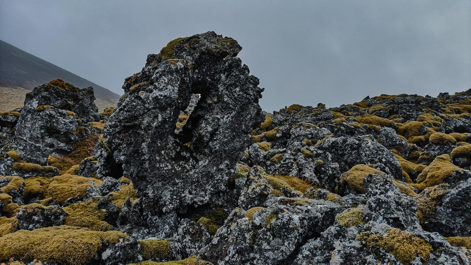 Iceland landscape moss volcanic