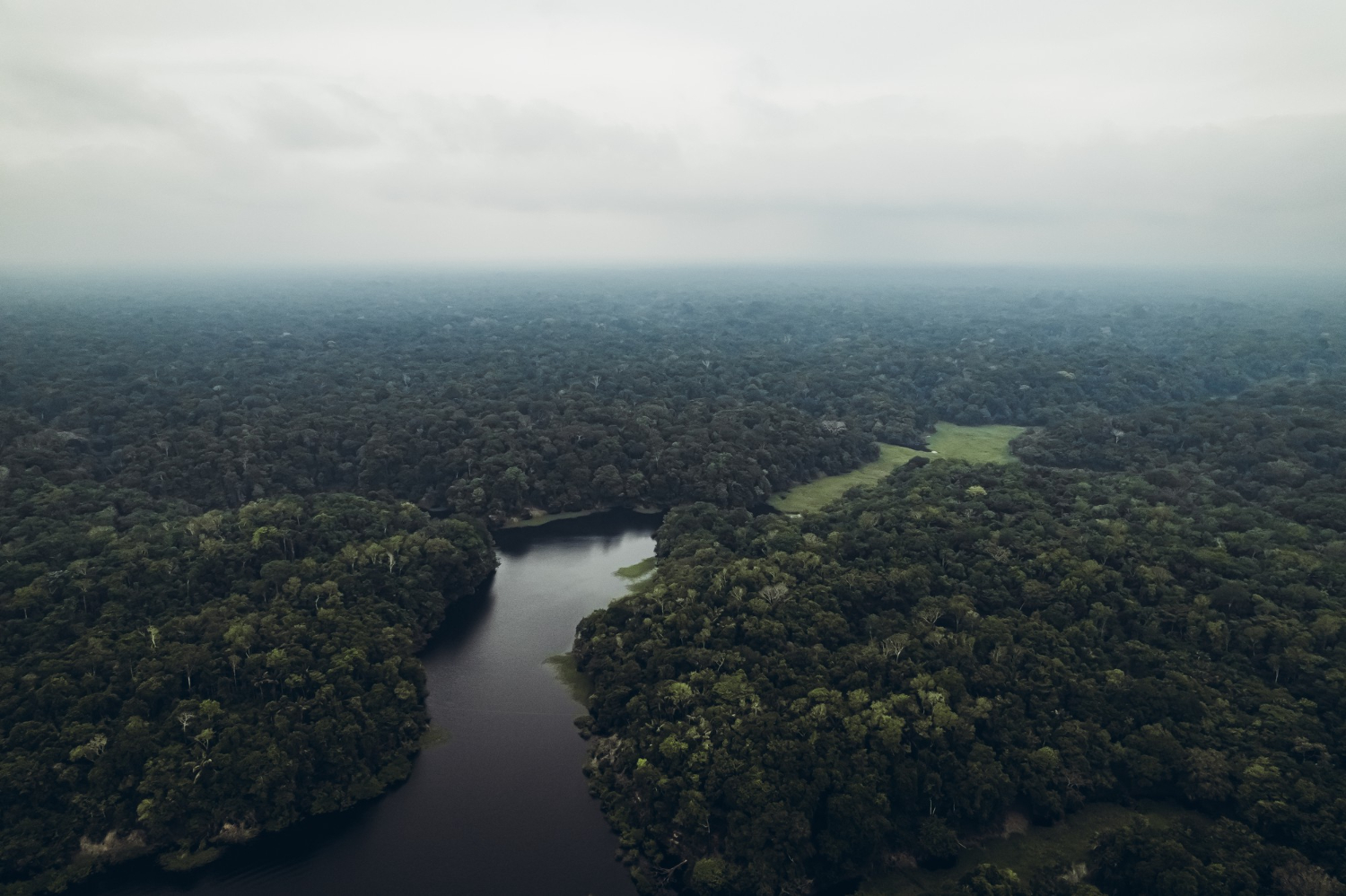 Amazon River aerial rainforest