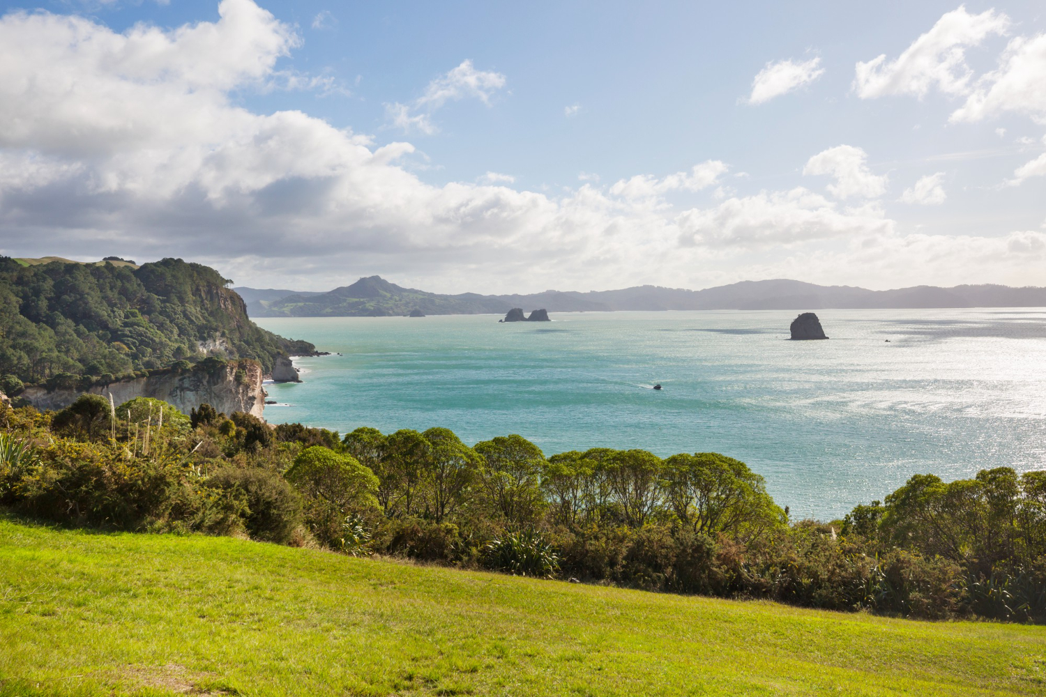 New Zealand coastline