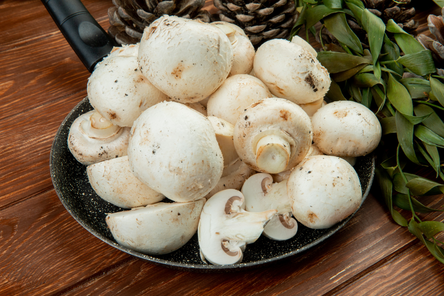 mushrooms