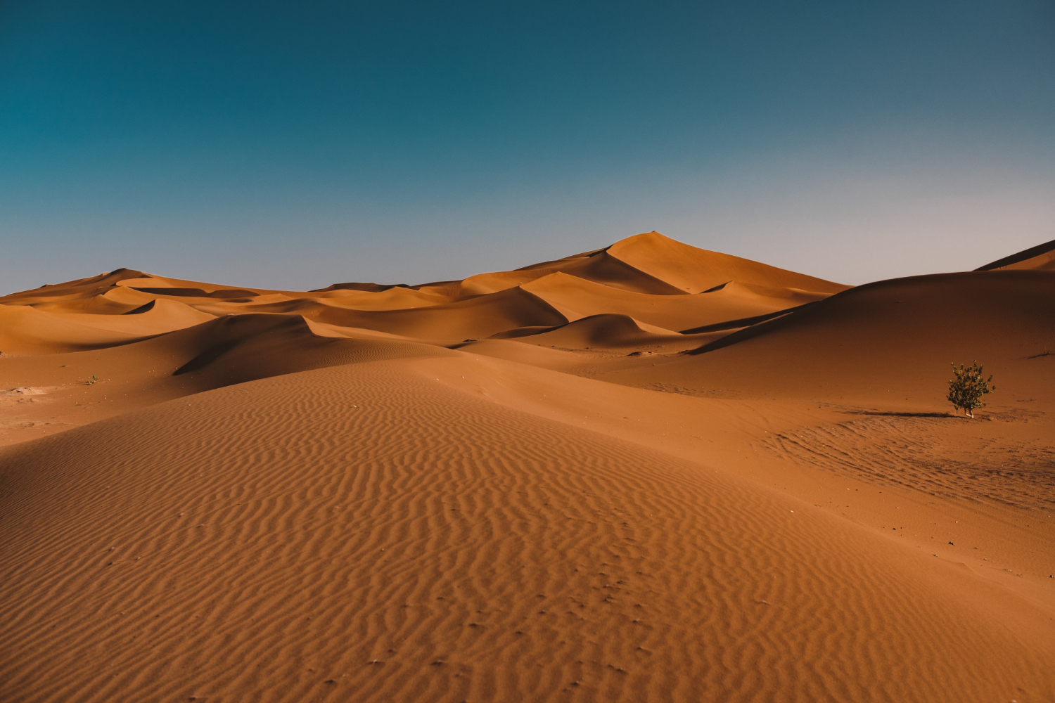 desert
