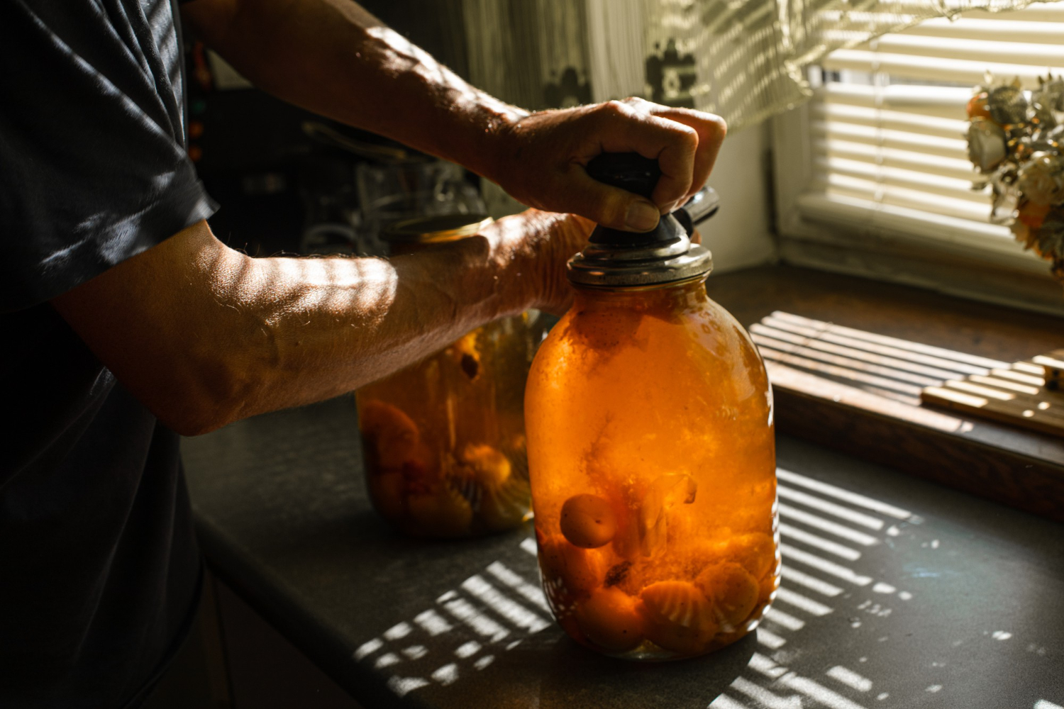 12 Fermented Drinks From Around the World and What Is Actually Happening in Them