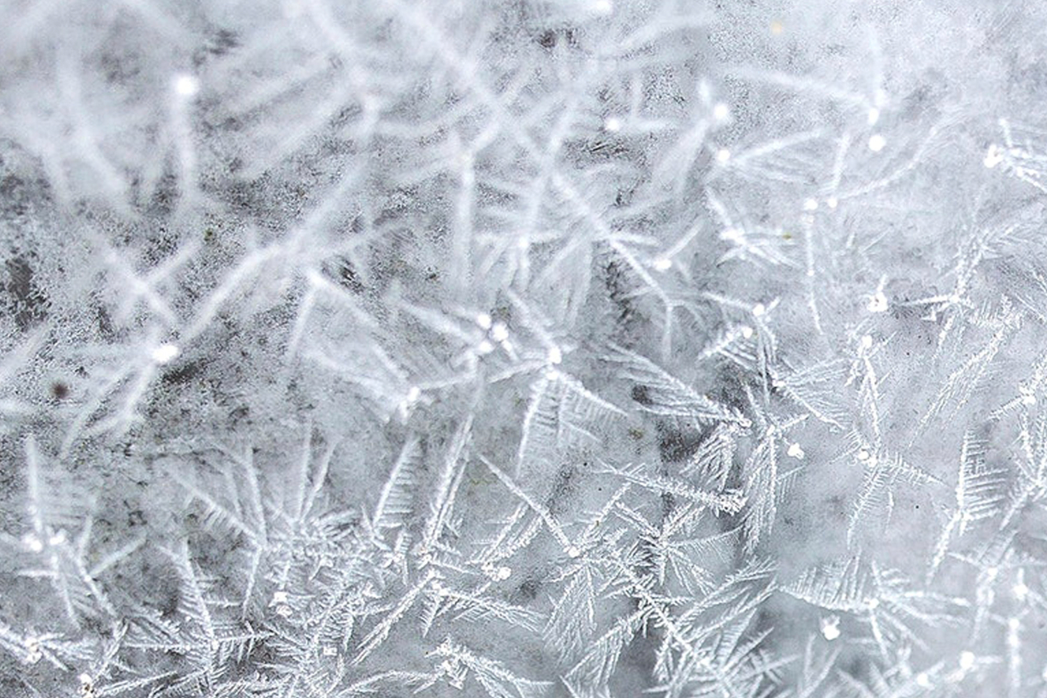 ice crystals