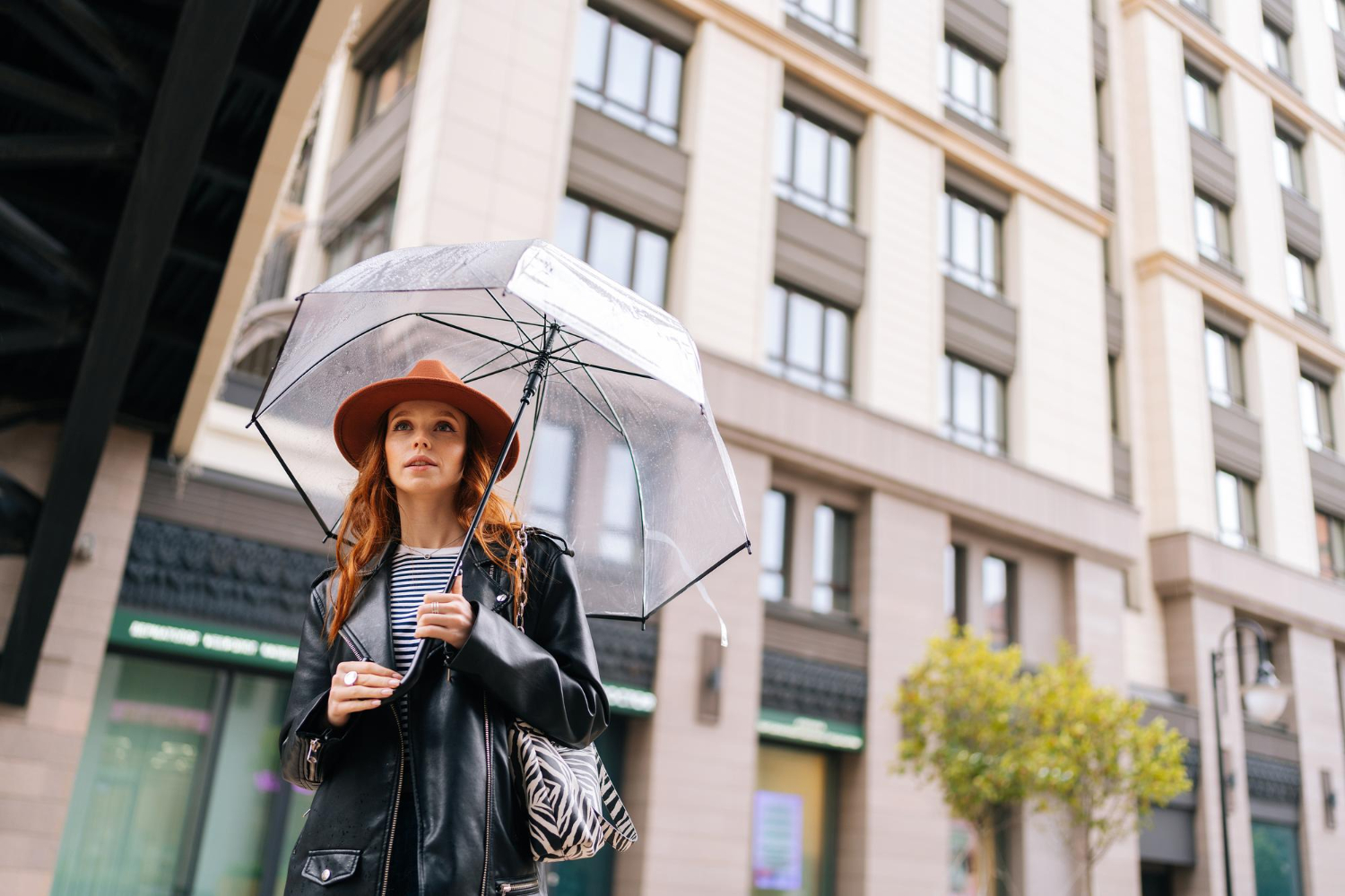rainy street city umbrella