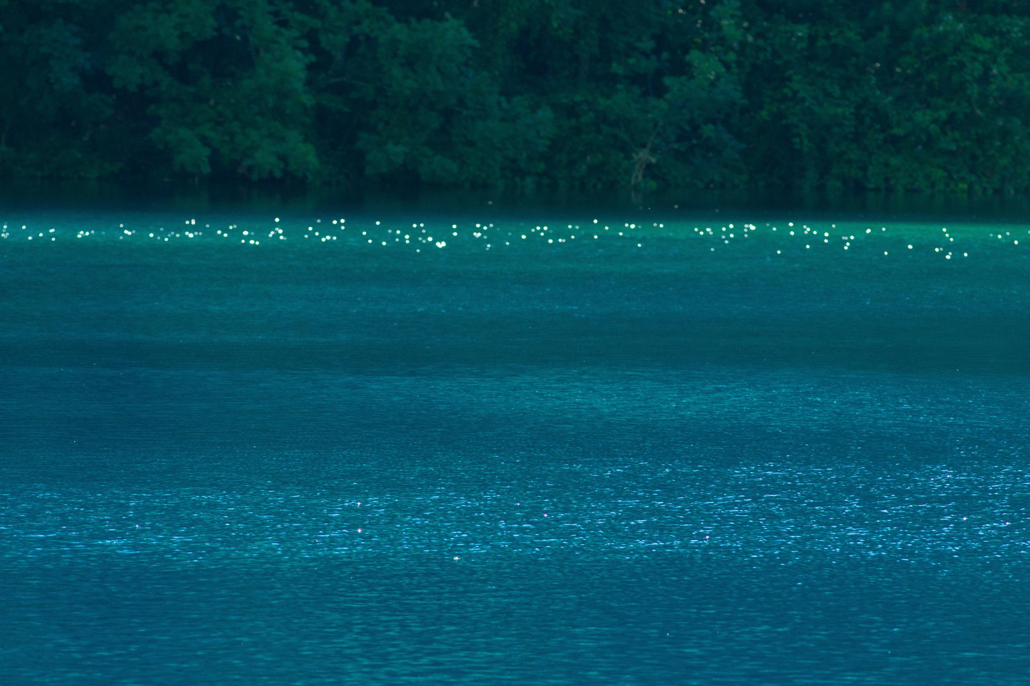 bioluminescent water