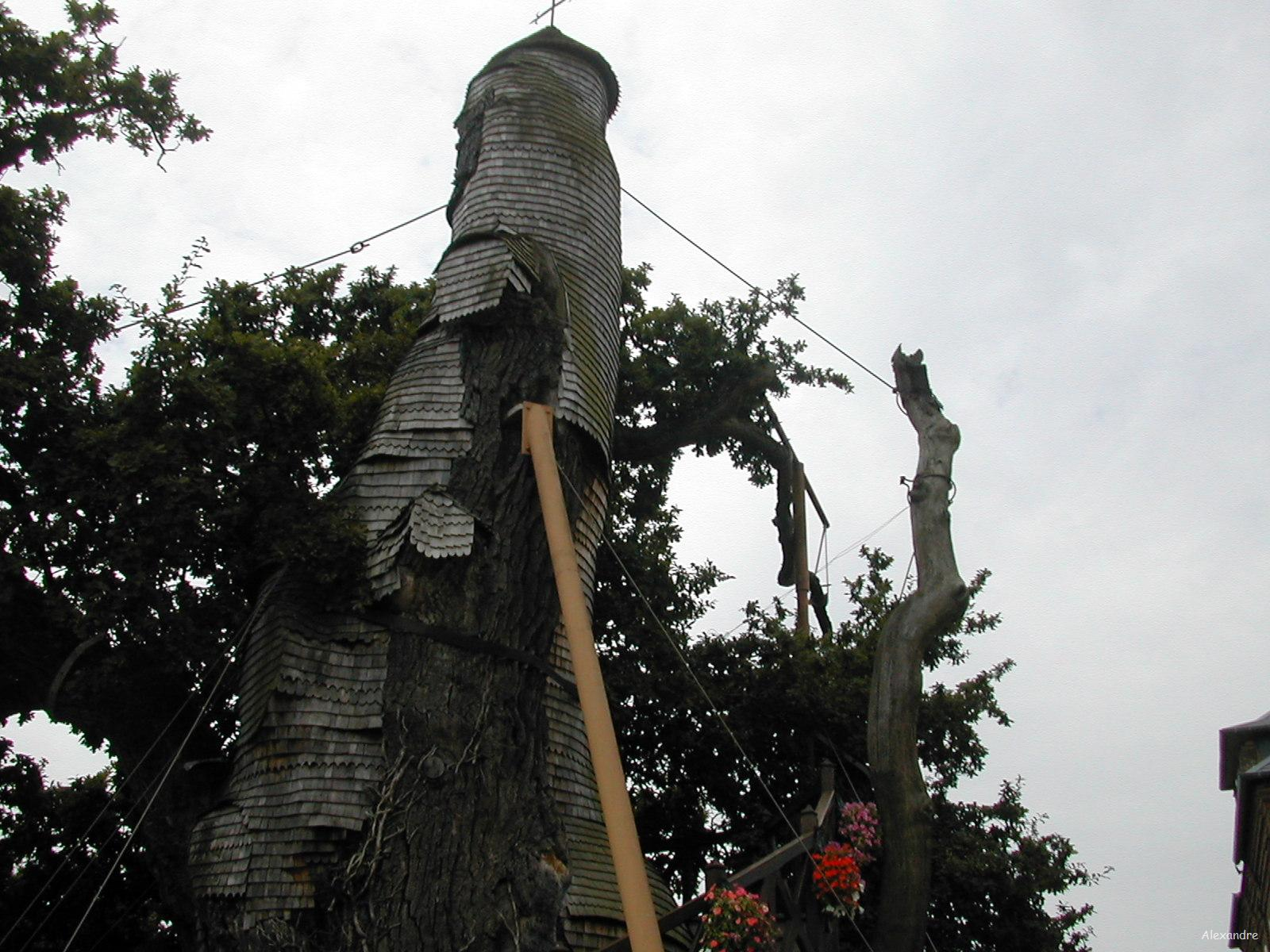 The Chapel Oak of Allouville