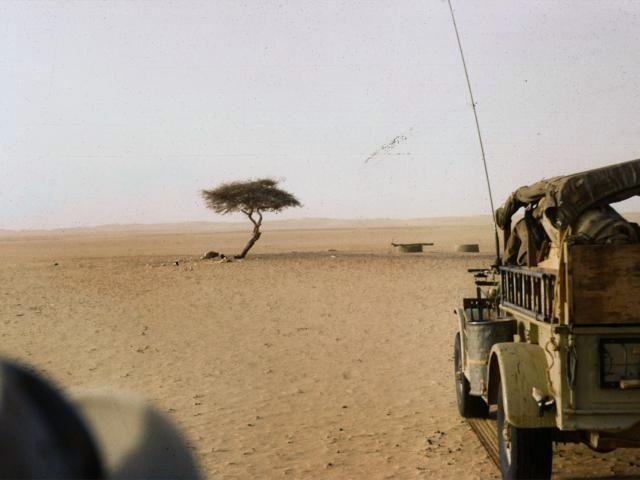 The Tree of Ténéré Site