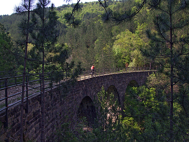 The Parenzana Trail