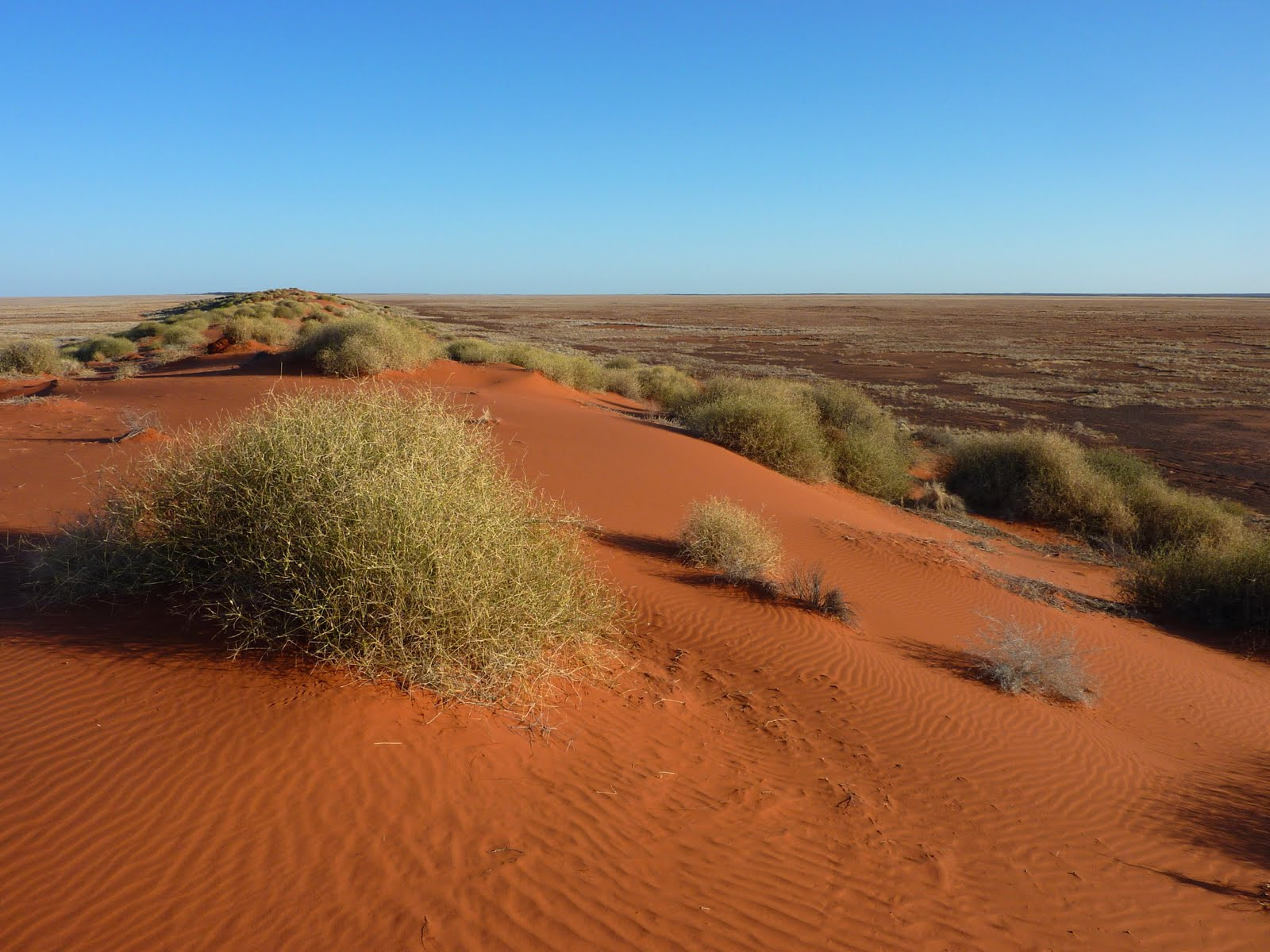 The Simpson Desert