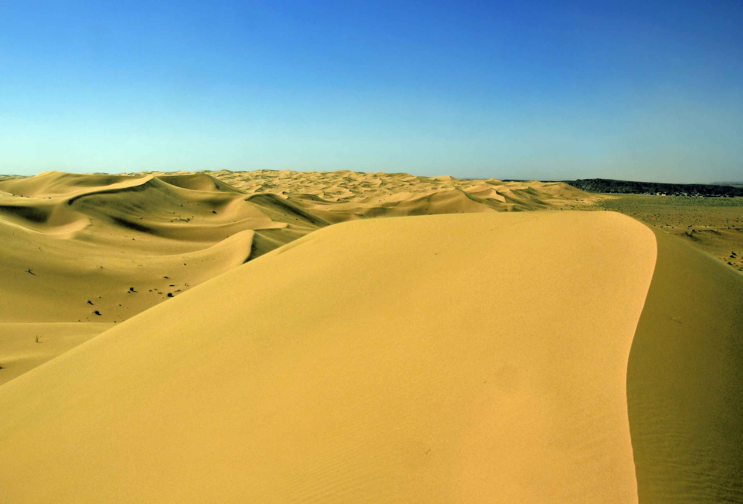 The Ergs of the Grand Sud