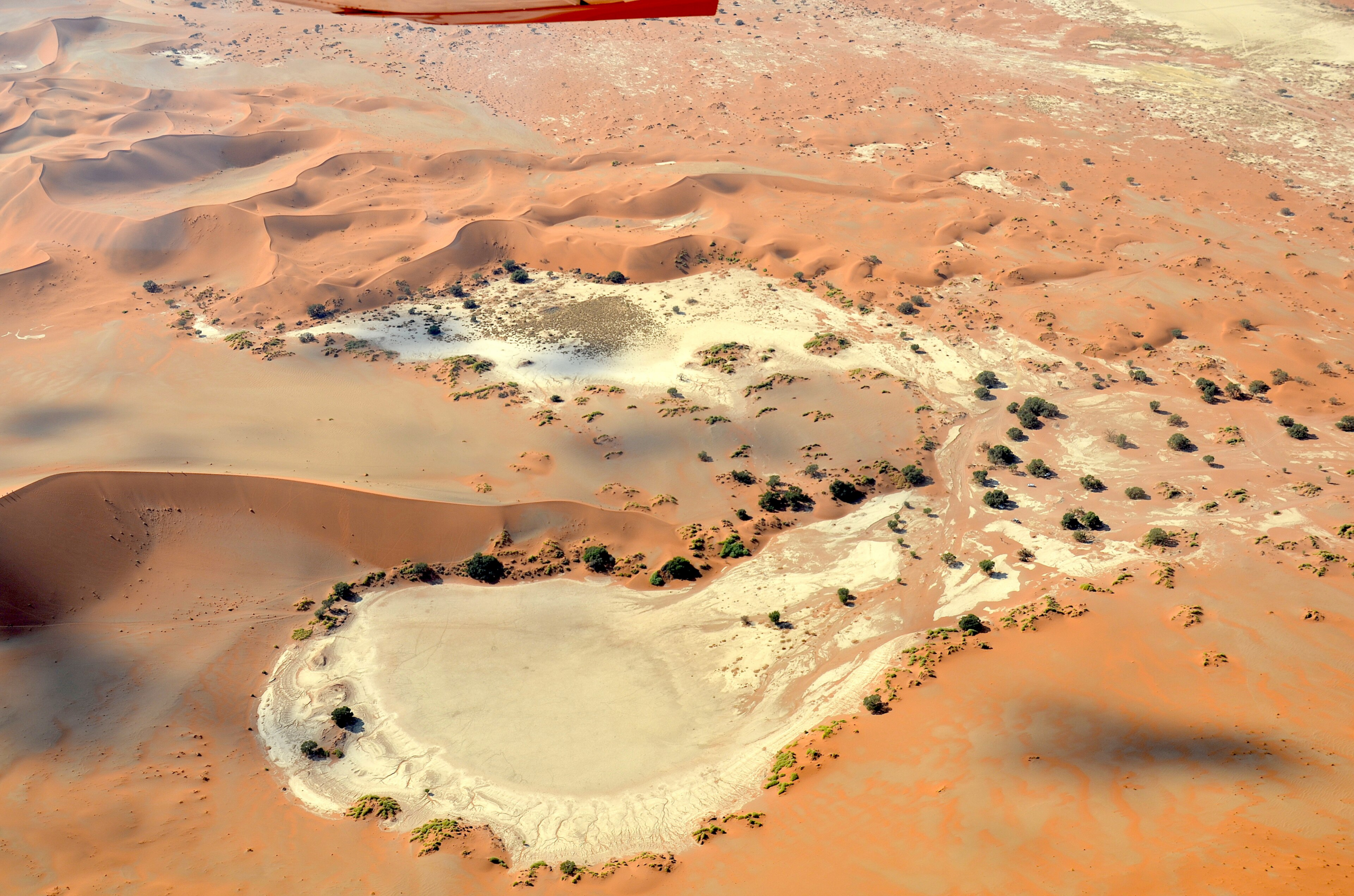 The Star Dunes of Sossusvlei