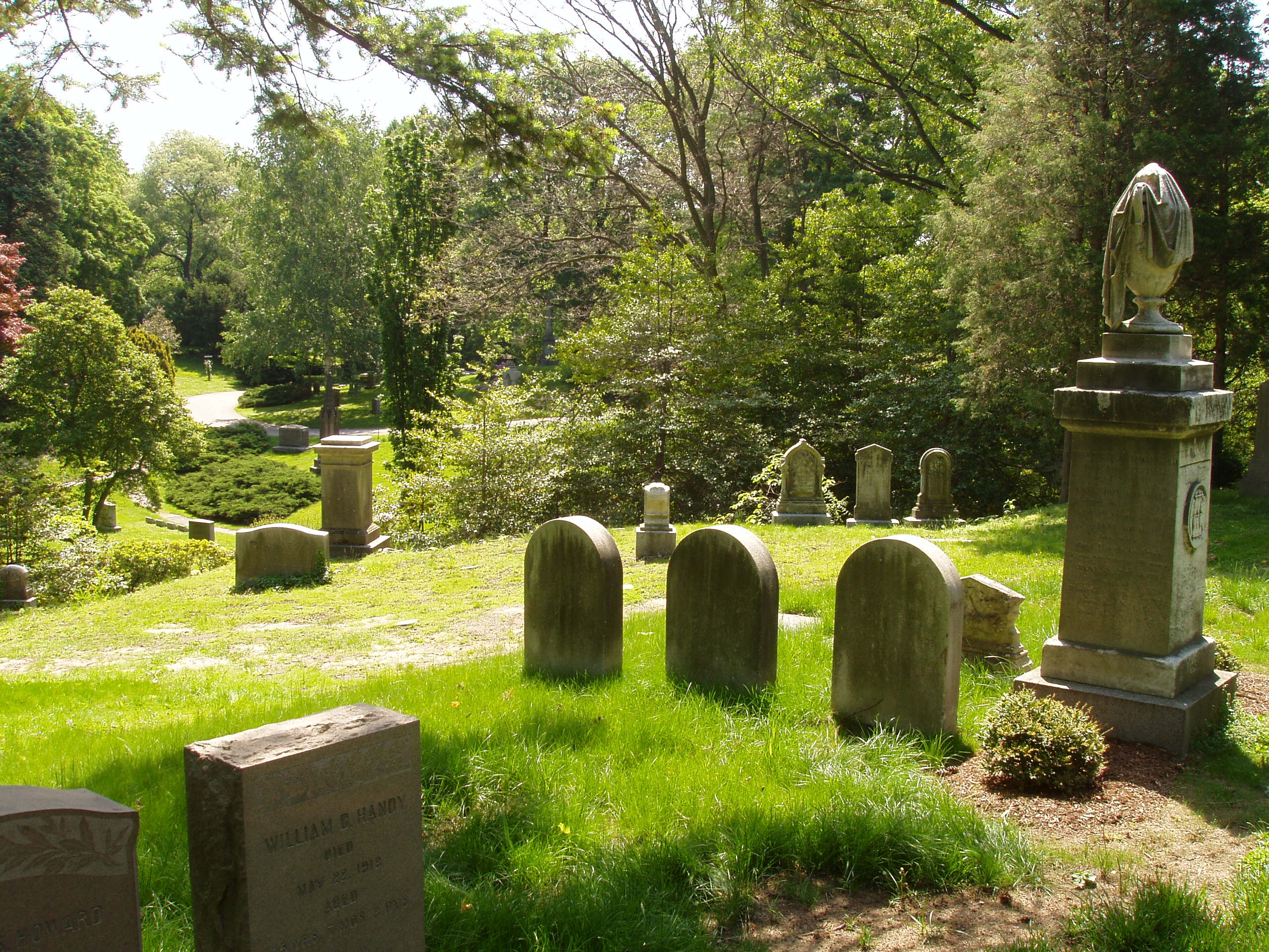Mount Auburn