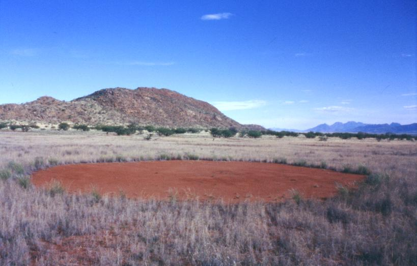 fairy circles Namibia