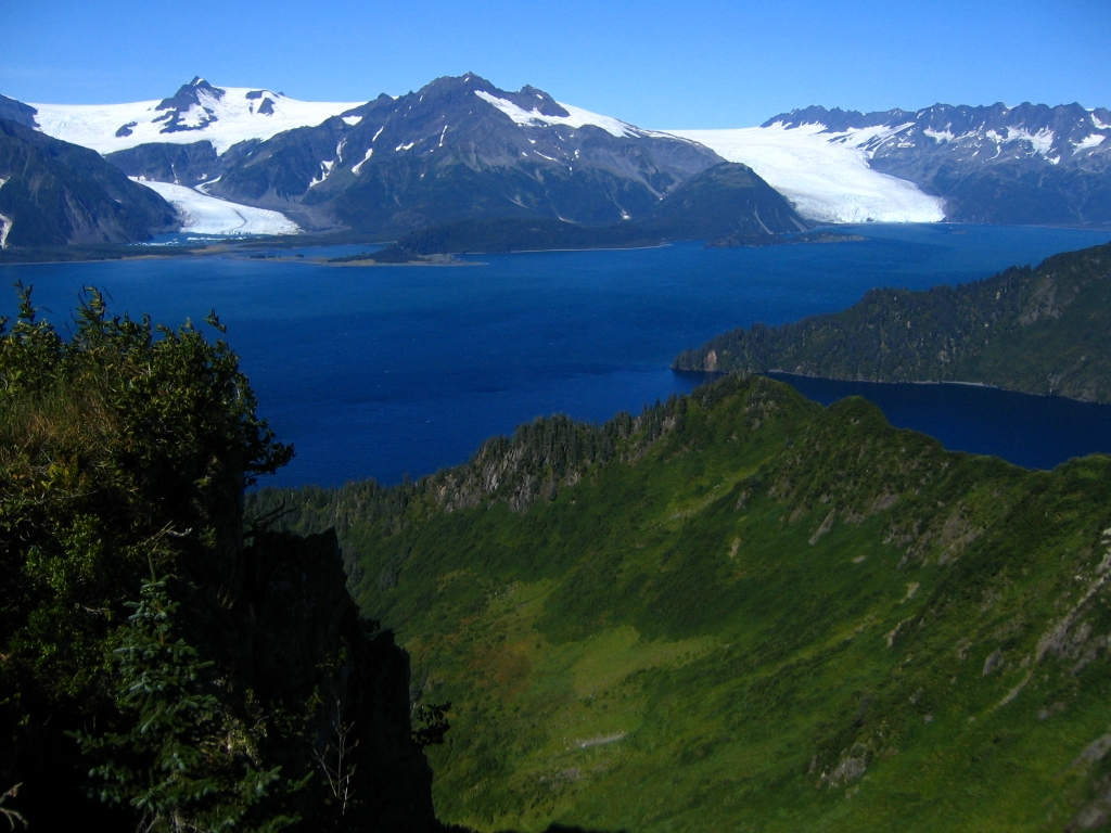 The Fjords of Southeast Alaska