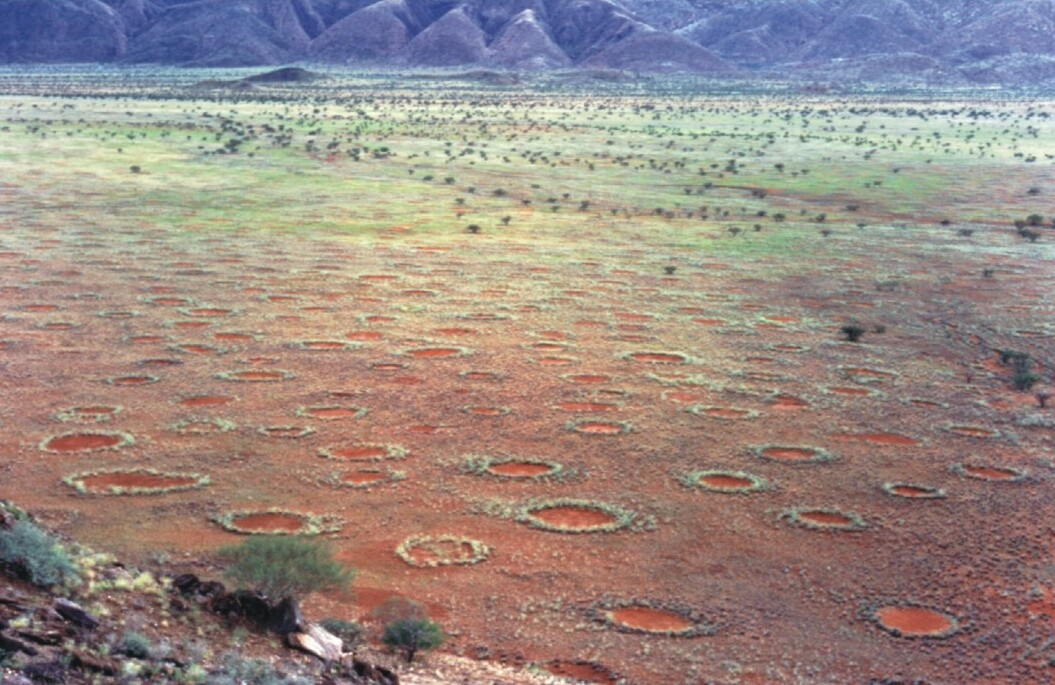 fairy circles Namibia